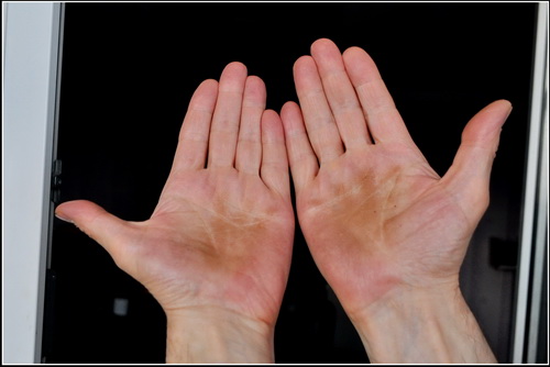 ����������� ������� �� ����-���