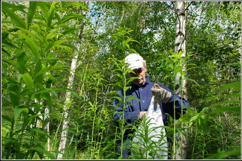 ������� ��������� �������