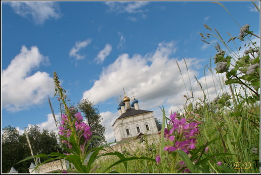 ����� ��������� ����������