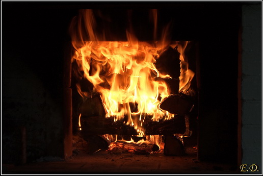 �������� ����