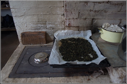 ����� �� �����