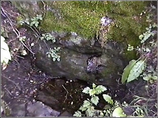 2003