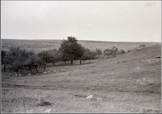  1982.