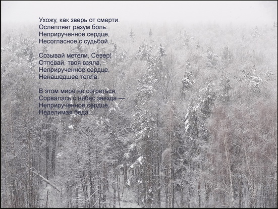 Фото Е. Доманского. Стихи Т. Иноземцевой Фото Е. Доманского. Стихи Т. Иноземцевой