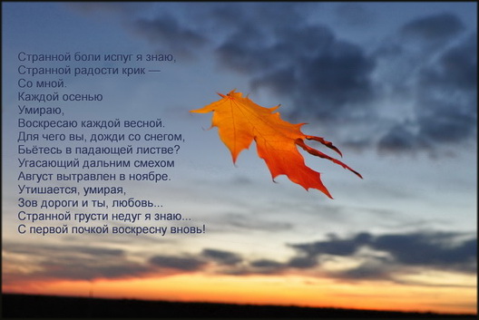 Фото Е. Доманского. Стихи Т. Иноземцевой Фото Е. Доманского. Стихи Т. Иноземцевой